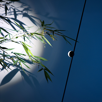 OcchiOlinO Outdoor Light OcchiOlinO Outdoor Light