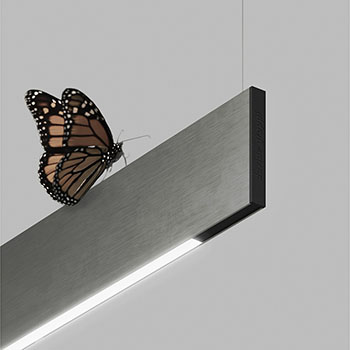 Sottile Suspension Light