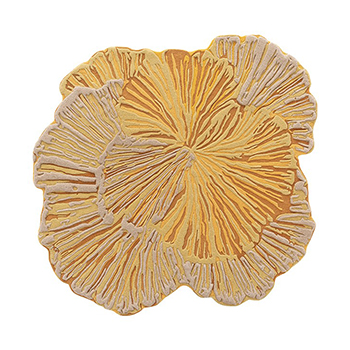 Botanica Rug Yellow Botanica Rug Yellow