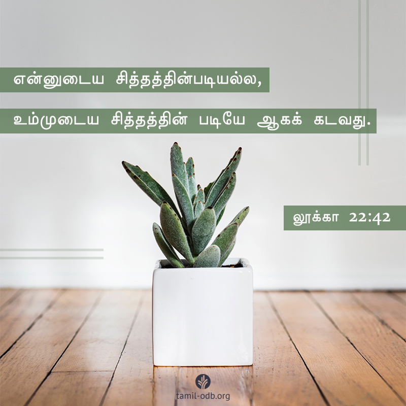 Share Tamil ODB 2020-04-01 Share Tamil ODB 2020-04-01