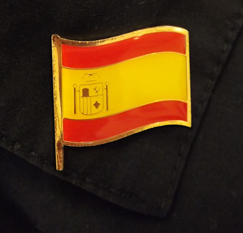 Viva Español Pin, Spanish Teacher's Discovery
