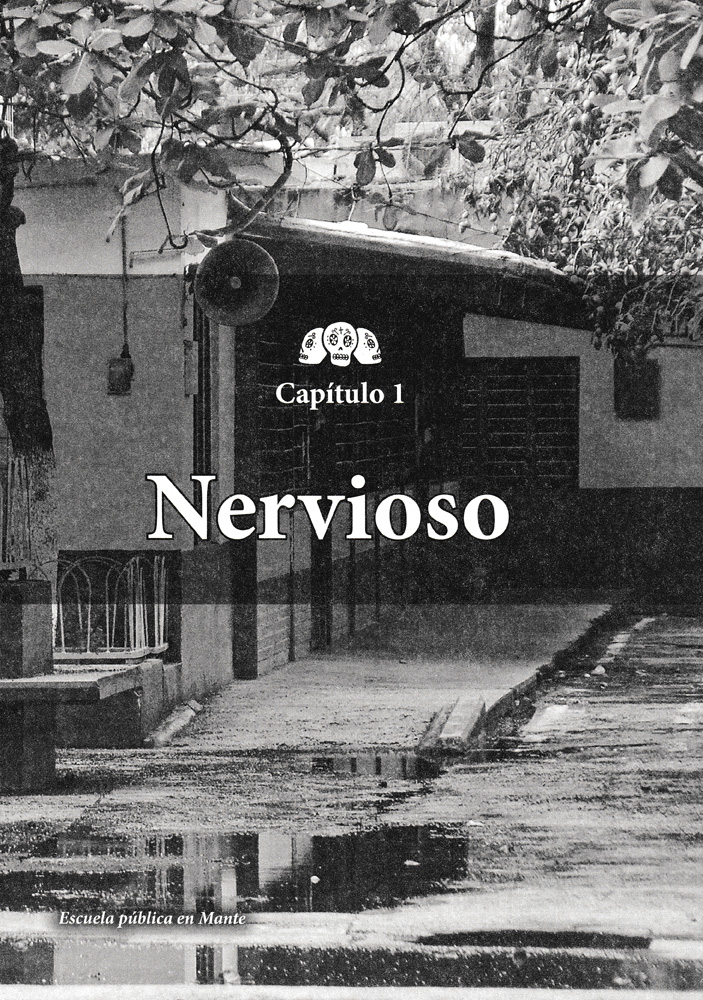 Tumba Spanish Level 1 Reader, Spanish Teacher's Discovery