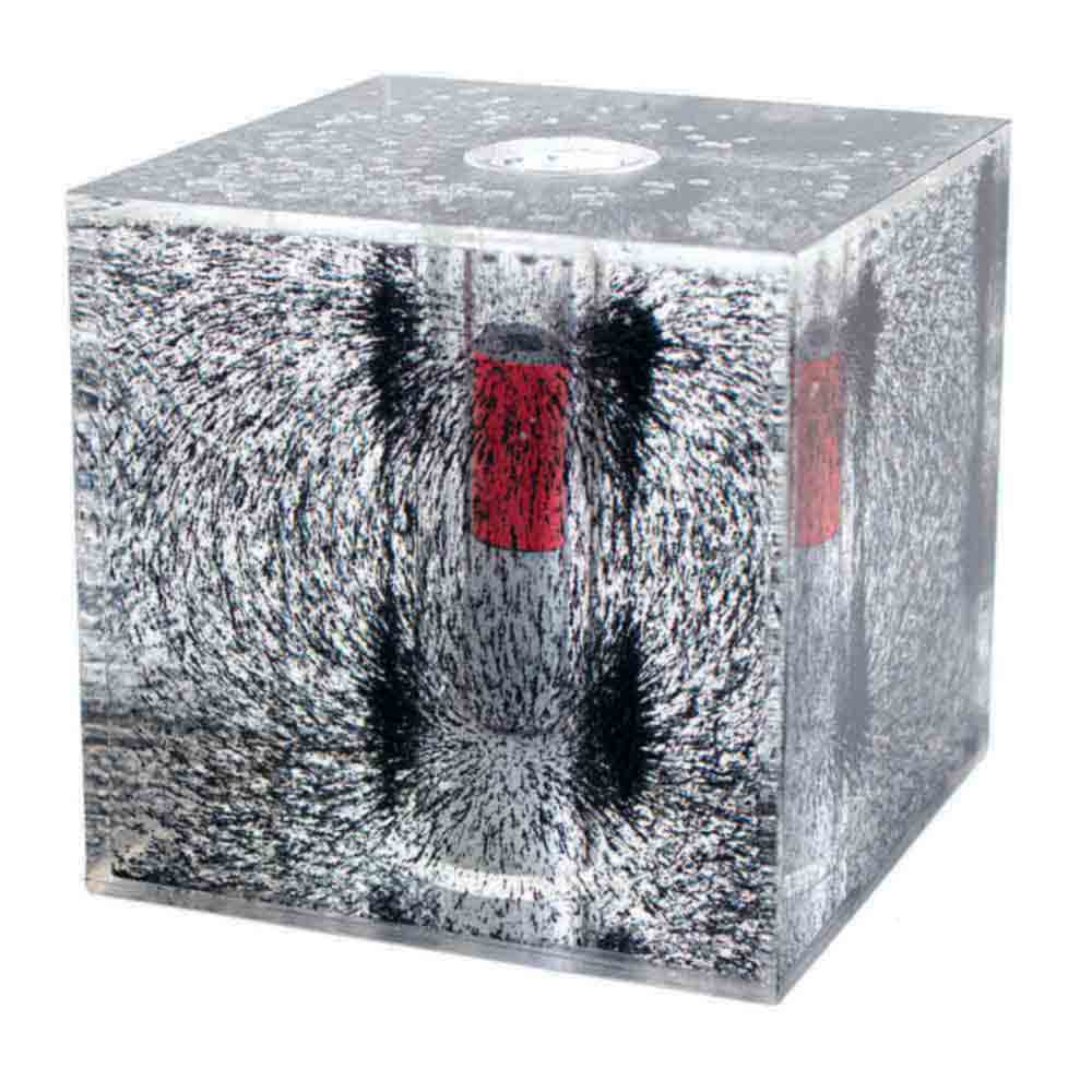 Field Cube Learn About Field Lines for Classroom or Homeschool Chemistry