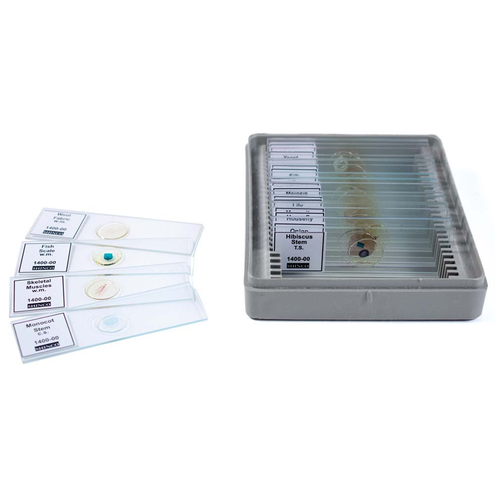 Introductory Set of Prepared Slides (25/pkg), Microscopes