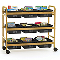 Copernicus Book Browser Cart with Recycled Tubs