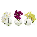 Phalanenopsis Orchid Silk Arrangement, Set of 3