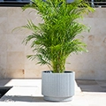 tenjam Ripple Wide Planter