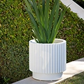 tenjam Ripple Short Planter
