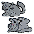 Schrodinger's Cat Enamel Pin - 2/Pkg