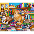 Bookshop Cats Puzzle