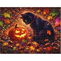 Enchanted Pumpkin Puzzle