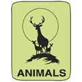 Classification Labels - Animals, 250/Roll
