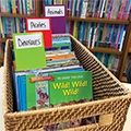 Library Book Dividers - 30/Pkg