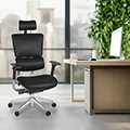 Regency Omega&reg; Executive Office Chair