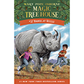 Rhinos at Recess (Paperback)