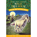 Windy Night with Wild Horses (Paperback)