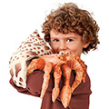 Folkmanis&reg; Hermit Crab Hand Puppet