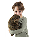 Folkmanis&reg; Groundhog Hand Puppet