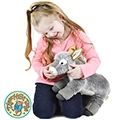 Darlene the Donkey