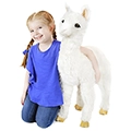 Alana the Alpaca