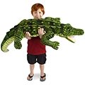 Kuwat the Saltwater Crocodile
