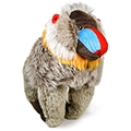 Mambo the Mandrill