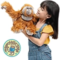 Ornaldo the Orangutan Monkey