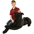 Pana the Black Panther