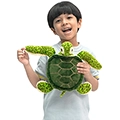 Turquoise the Green Sea Turtle