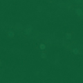 Hunter Green