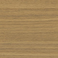 Sap Walnut