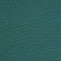Teal Green