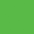 Green Fluorescent