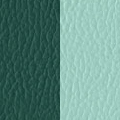 Sage Green Body/Mint Green Seat