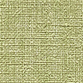 Pistachio
