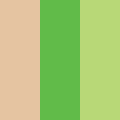 Beige/Green/Light Green