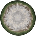 Joy Carpets Rare Earth&trade; Rugs