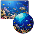 Pixel Perfect™ Explore the Ocean Carpets