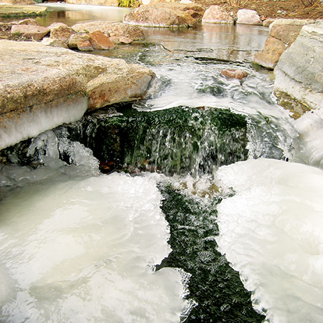 algae winter string pond growing prevent guy water