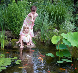Pond Kit The Pond Guy S Blog