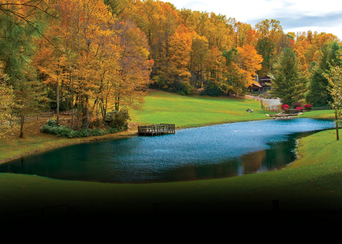 Pond and Water Garden Supplies The Pond Guy