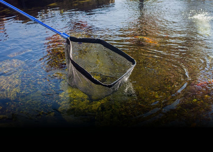 Pond and Water Garden Supplies The Pond Guy