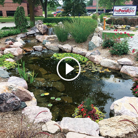 outdoor pond maintenance pond maintenance tips