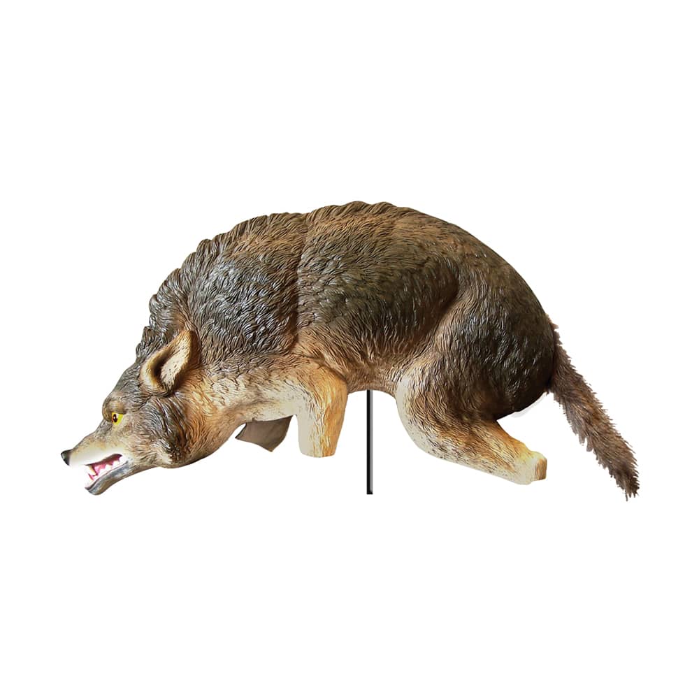 Coyote Decoys Coyote Decoys for Sale The Pond Guy