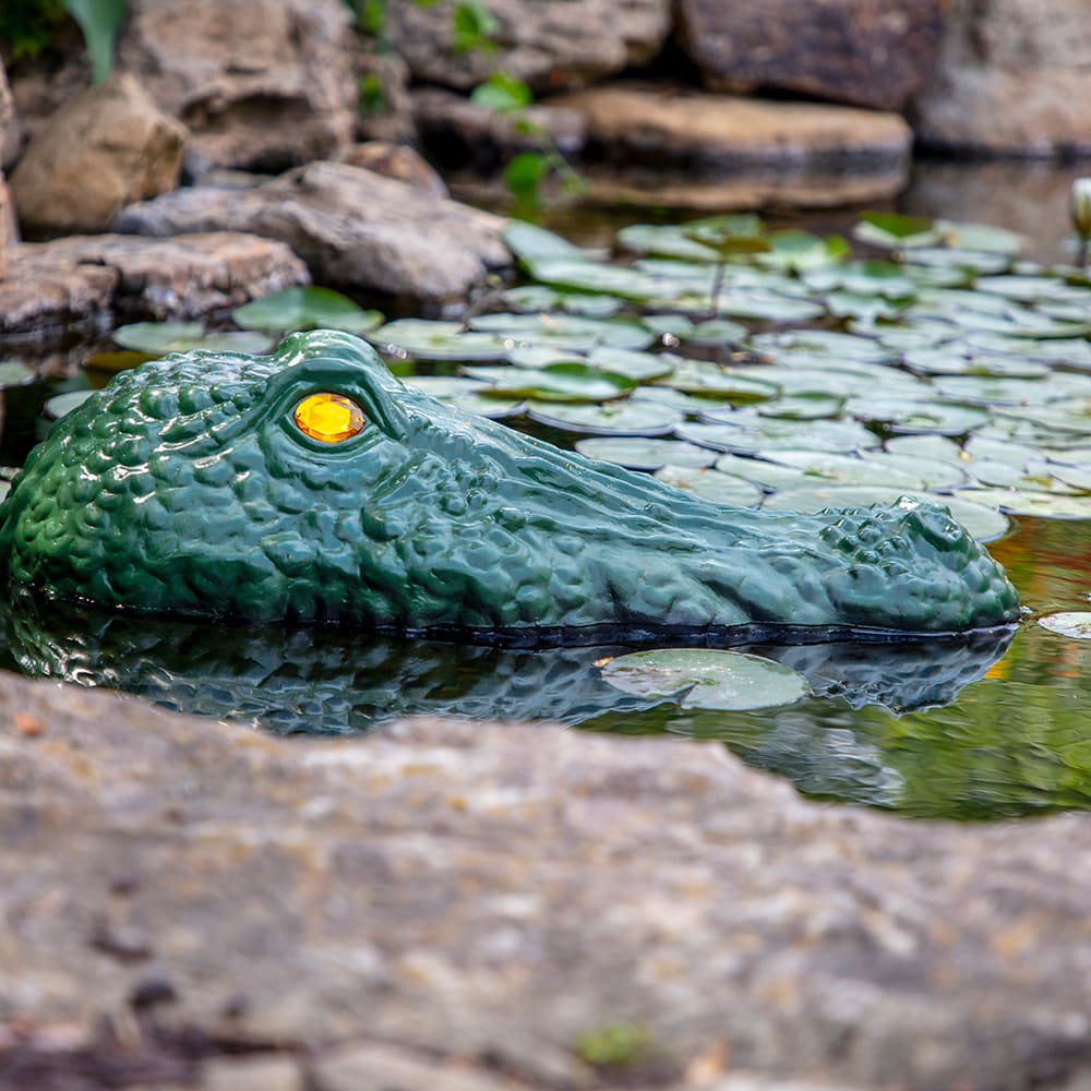 Gator Guard Predator Decoy Pond Predator Protection