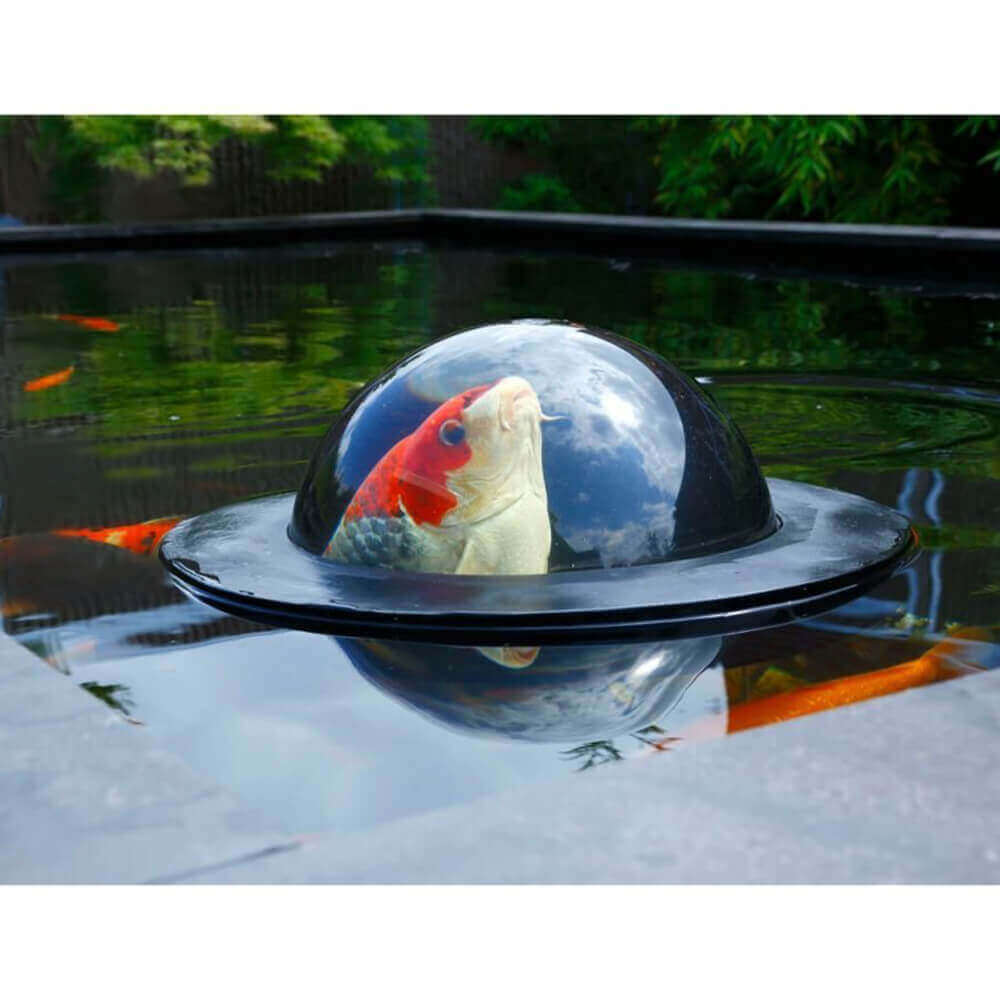 Floating Pond Bubble Velda Fish Dome The Pond Guy
