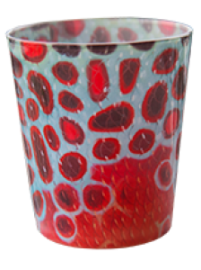 Fish Art Flank Rocks Glasses  
