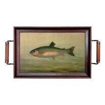 Rainbow Trout Tray