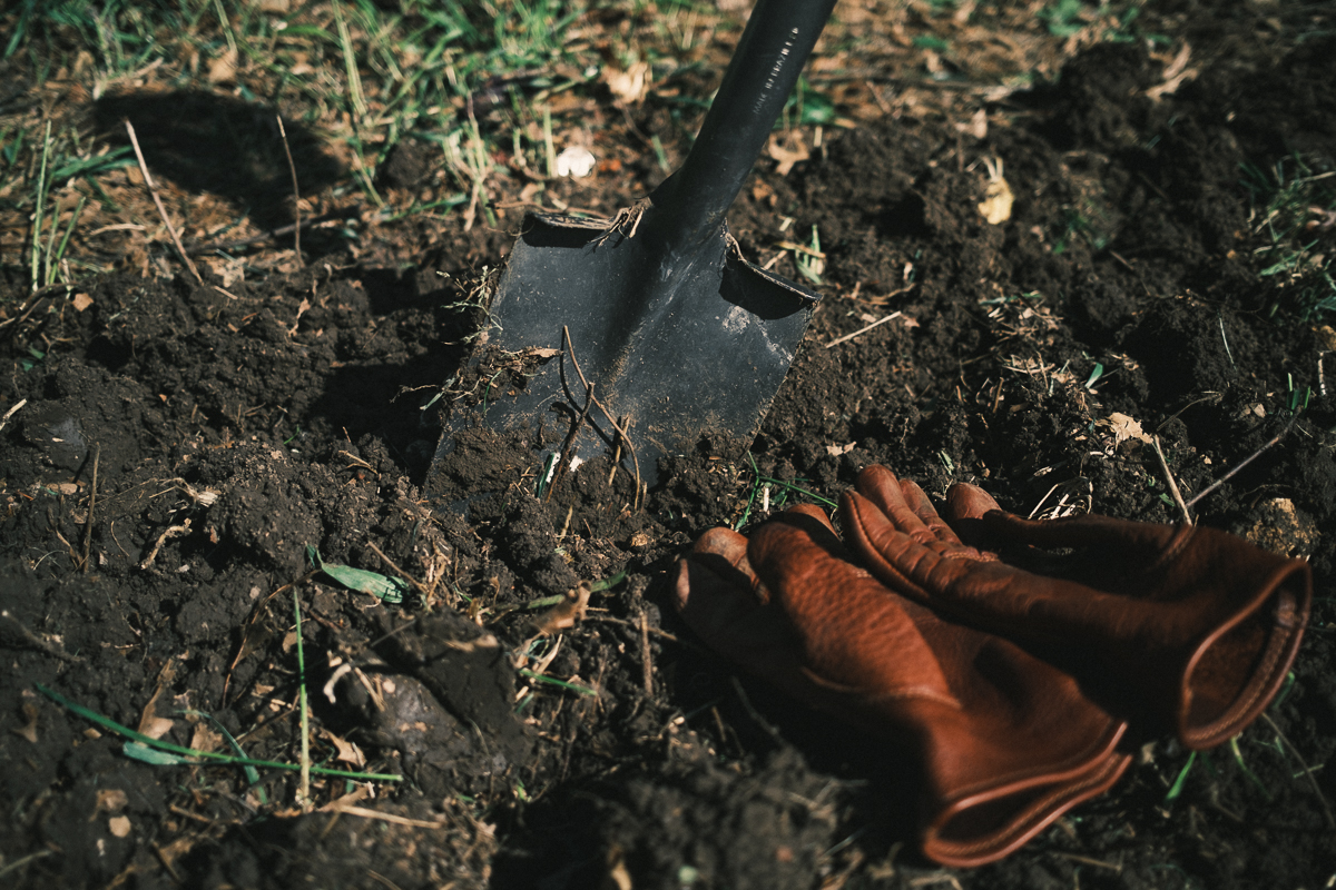Turning the Soil The Sending Project