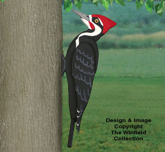 All Bird Project Plans & Patterns - 3D Giant Pileated Woodpecker Pattern